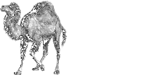 Perl Logo