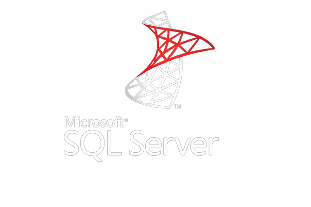 SQL Logo